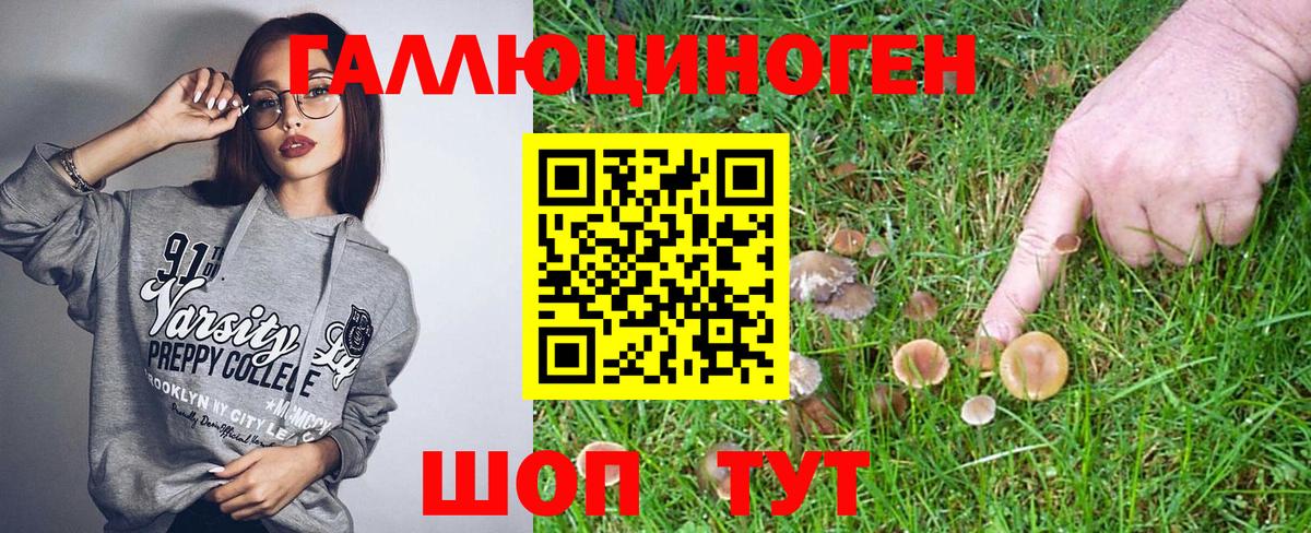 Галлюциногенные грибы Magic Shrooms  Псилоцибиновые грибы Magic Shrooms  Вход с VPN  Гурьевск 