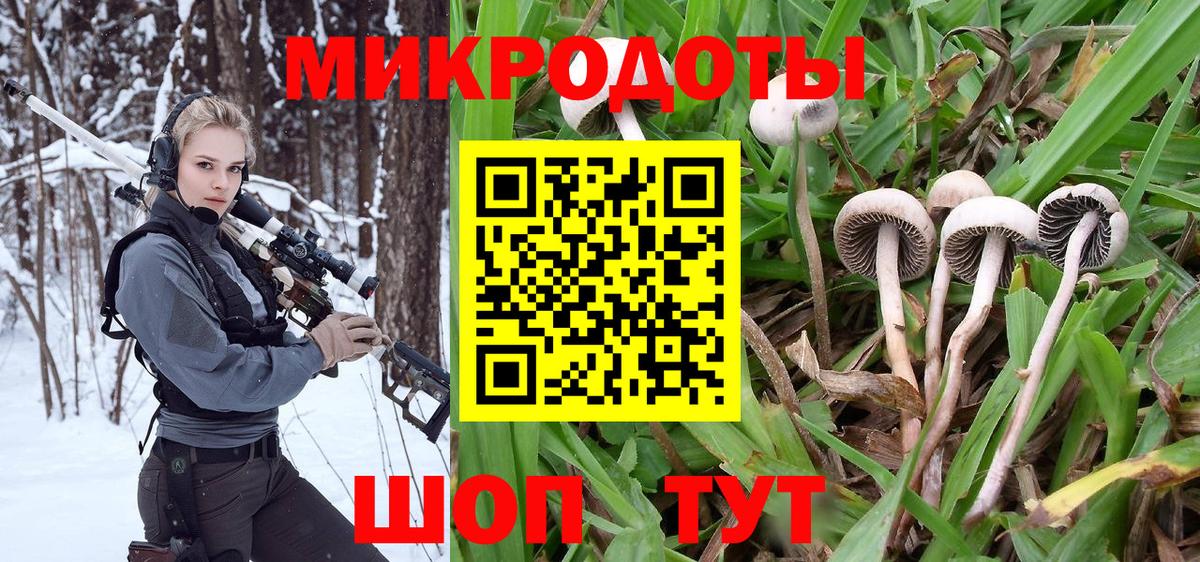 Псилоцибиновые грибы ЛСД Гурьевск
